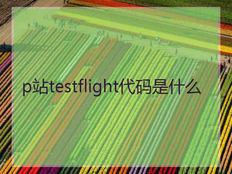 p站testflight代码是什么
