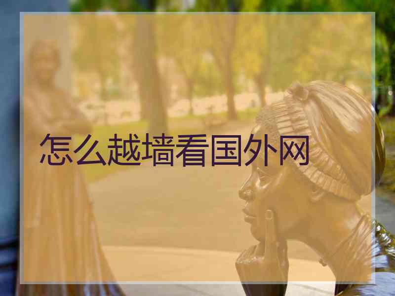 怎么越墙看国外网