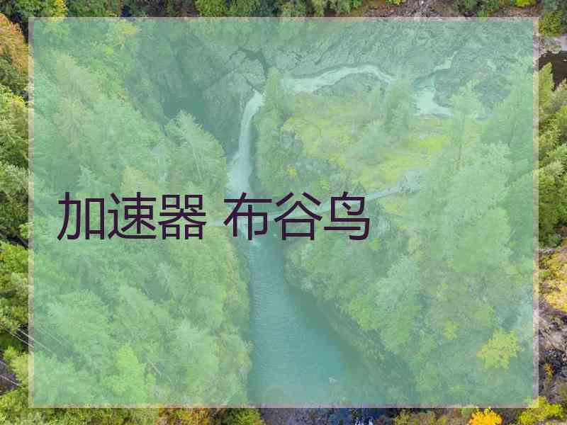 加速器 布谷鸟