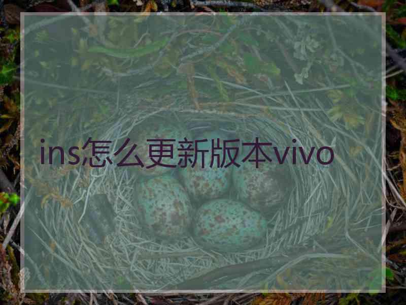 ins怎么更新版本vivo