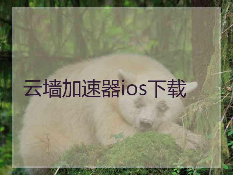 云墙加速器ios下载