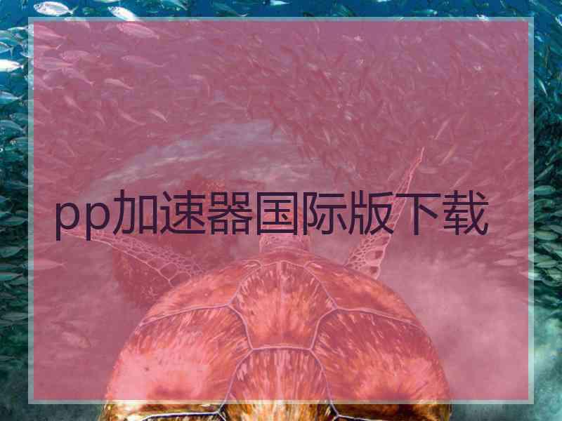 pp加速器国际版下载