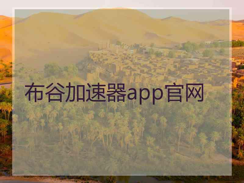 布谷加速器app官网