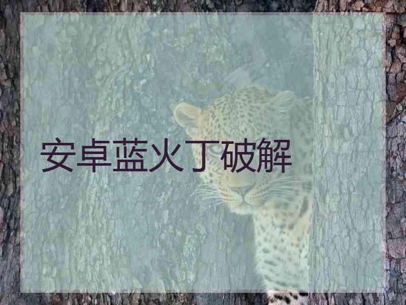 安卓蓝火丁破解
