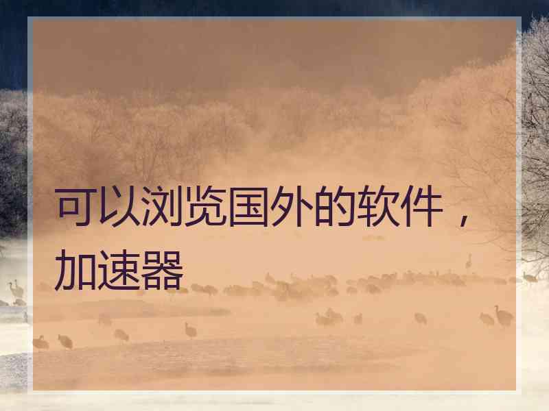 可以浏览国外的软件，加速器