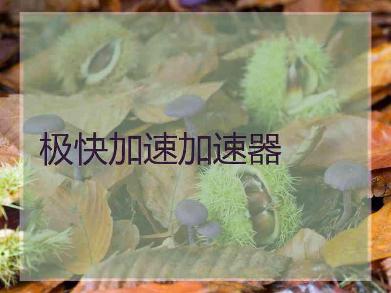 极快加速加速器