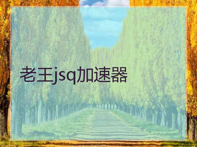 老王jsq加速器