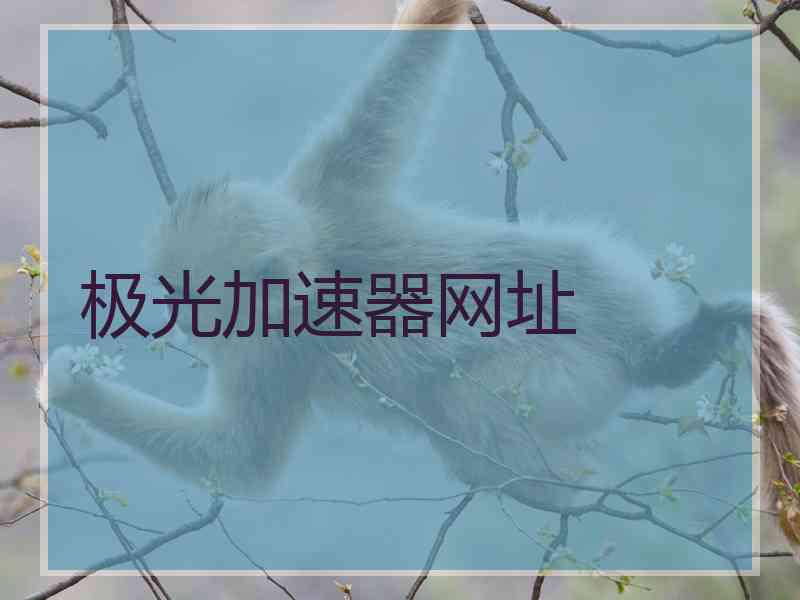 极光加速器网址