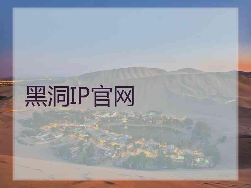 黑洞IP官网