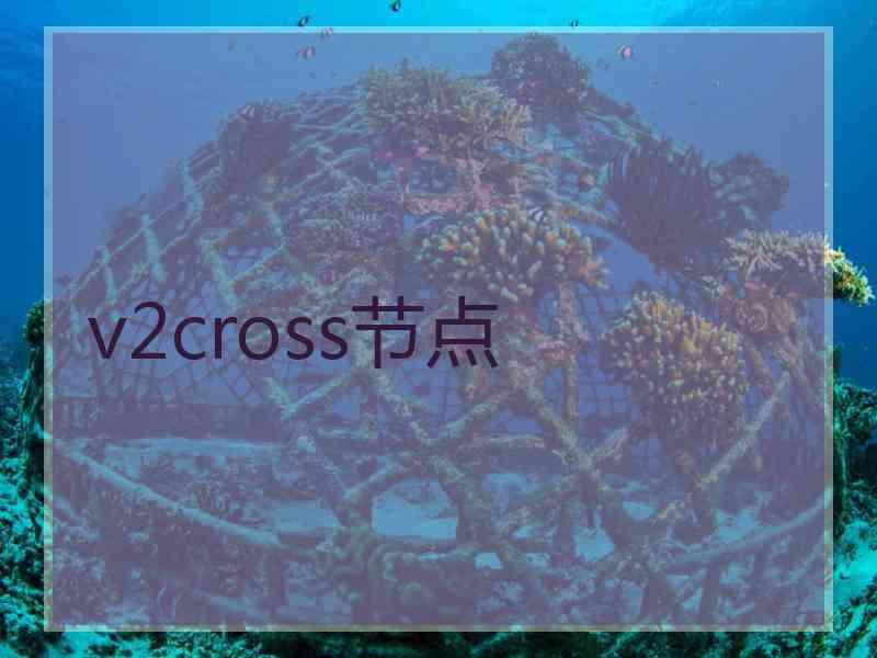 v2cross节点