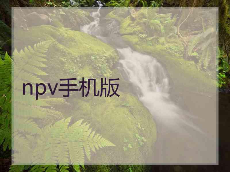 npv手机版