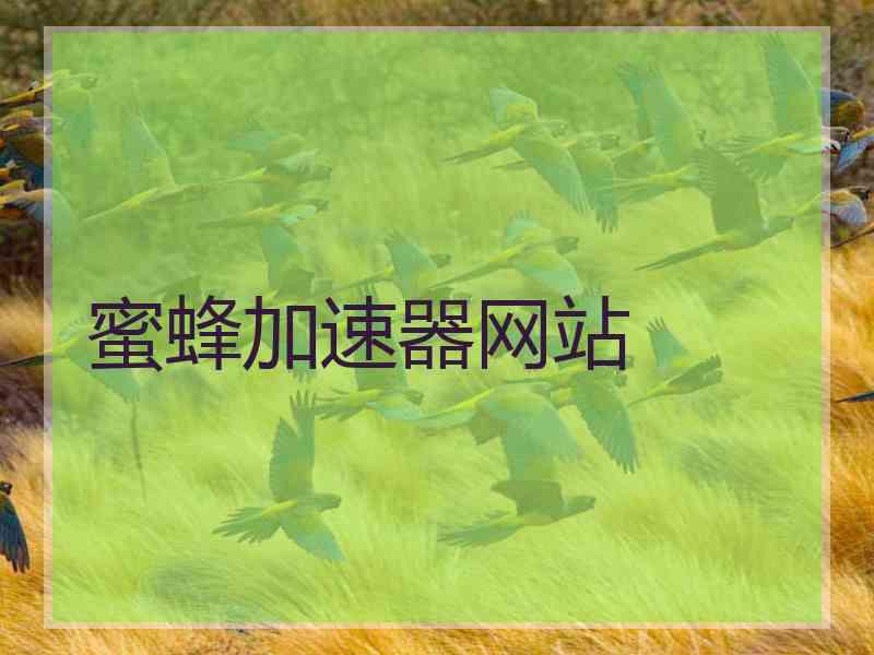 蜜蜂加速器网站