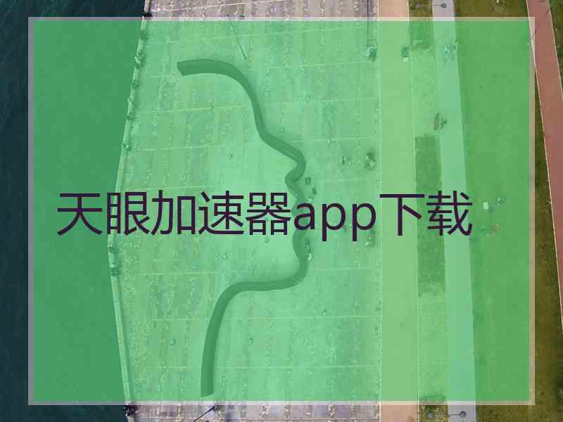 天眼加速器app下载