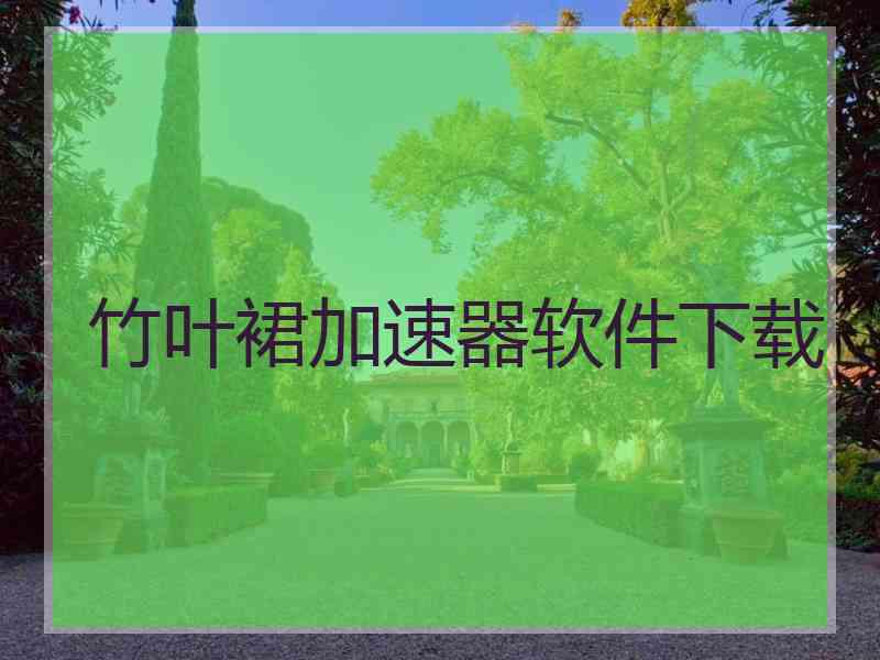 竹叶裙加速器软件下载