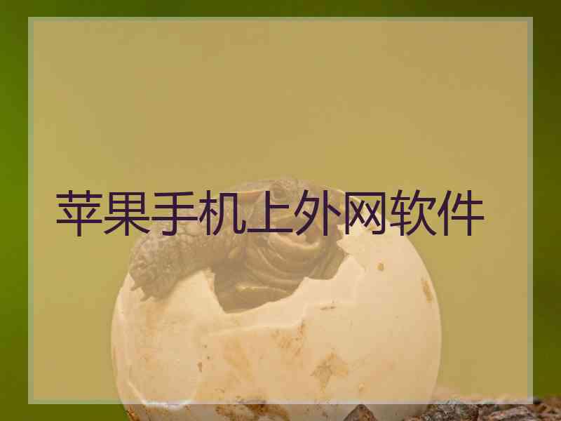 苹果手机上外网软件