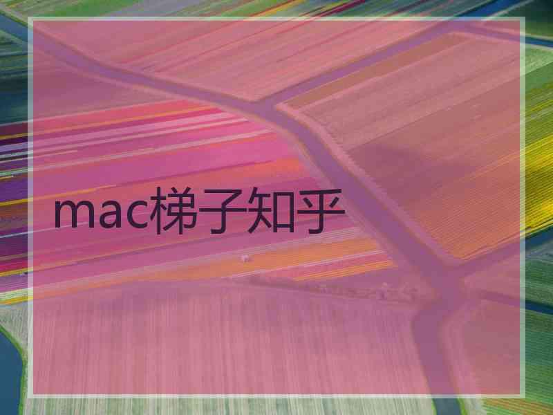 mac梯子知乎