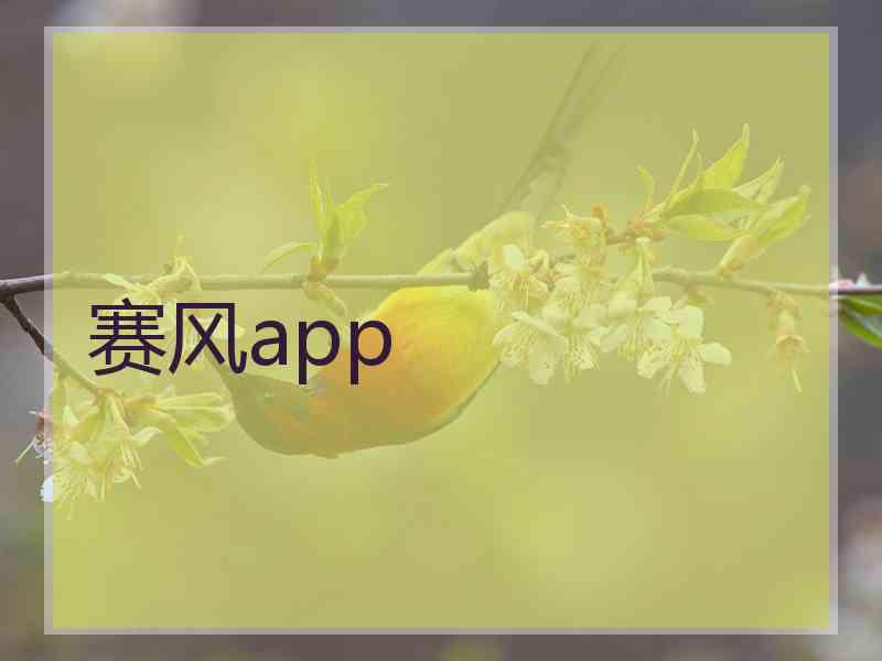 赛风app