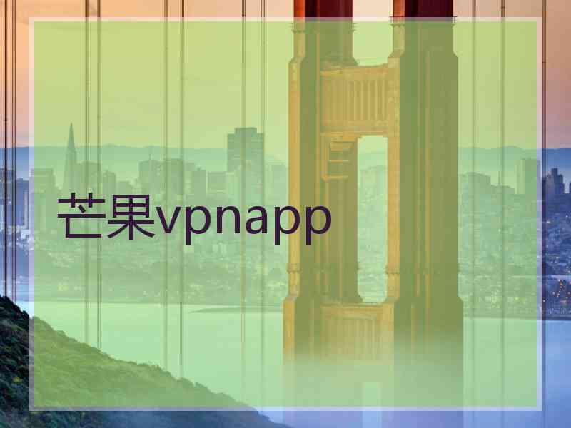 芒果vpnapp