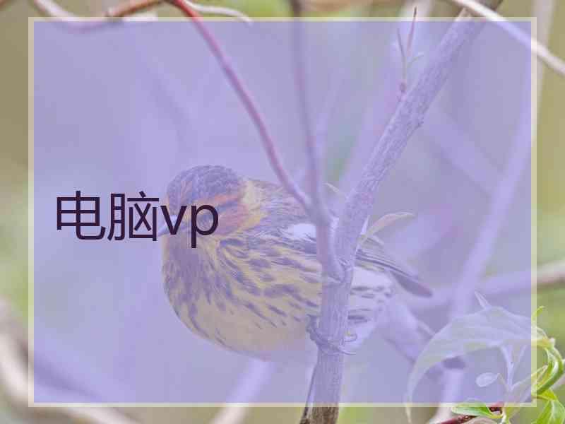 电脑vp