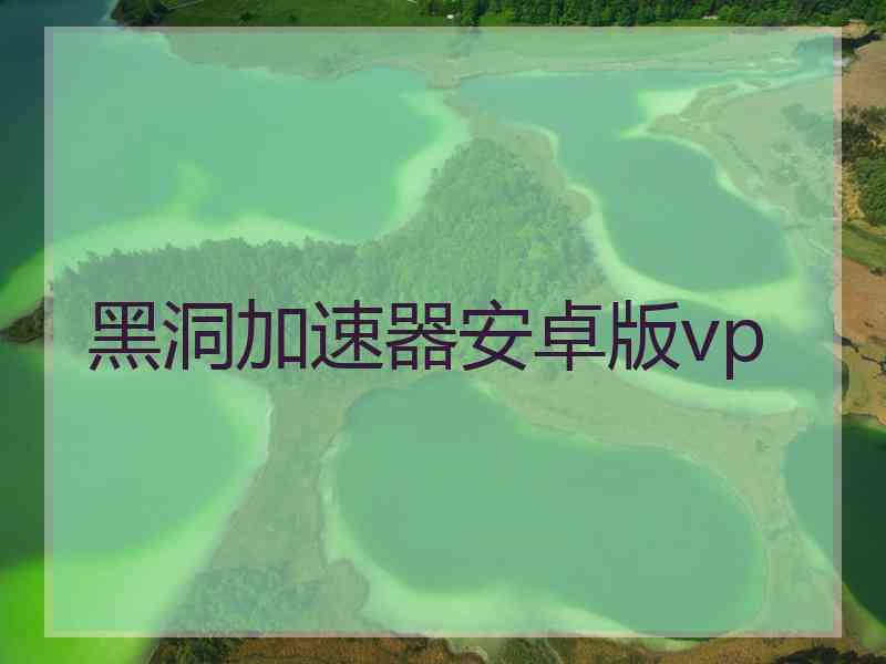 黑洞加速器安卓版vp