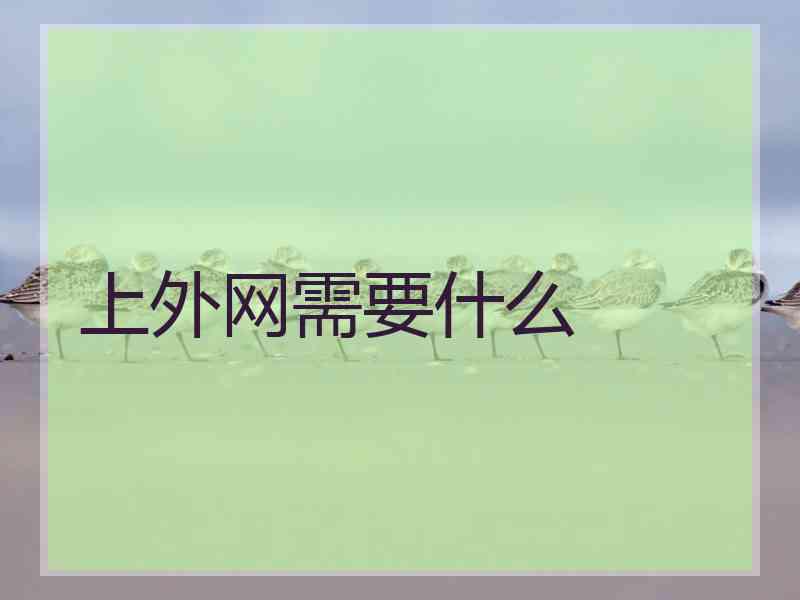 上外网需要什么