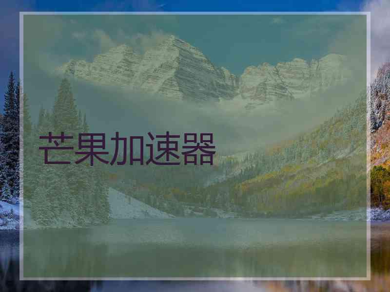 芒果加速器