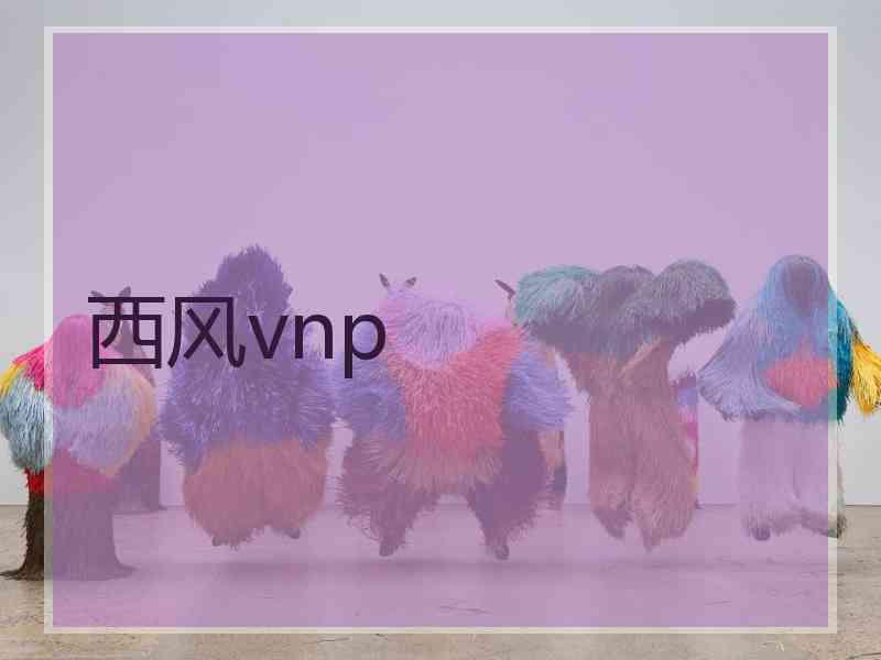 西风vnp