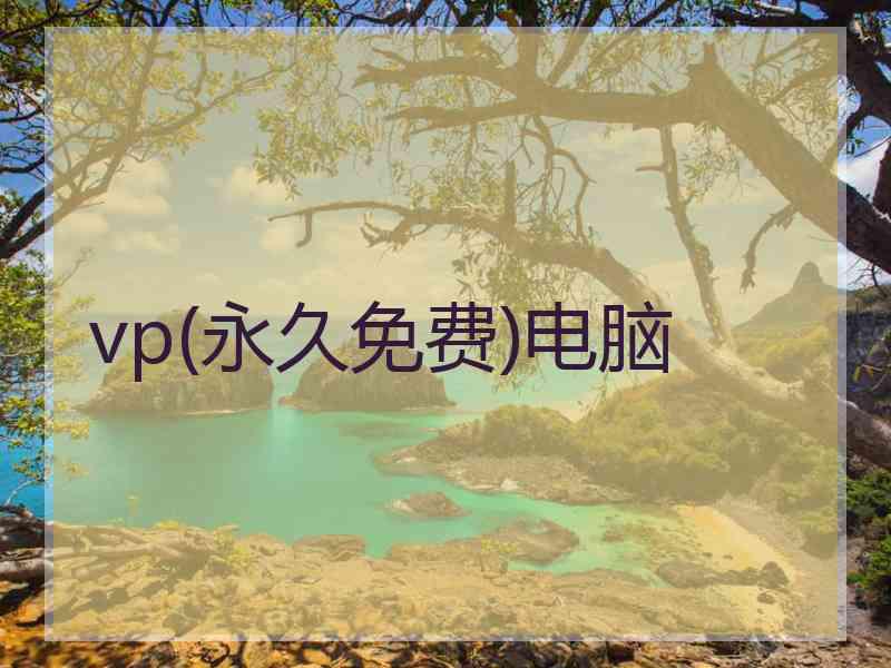 vp(永久免费)电脑