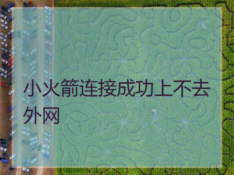 小火箭连接成功上不去外网