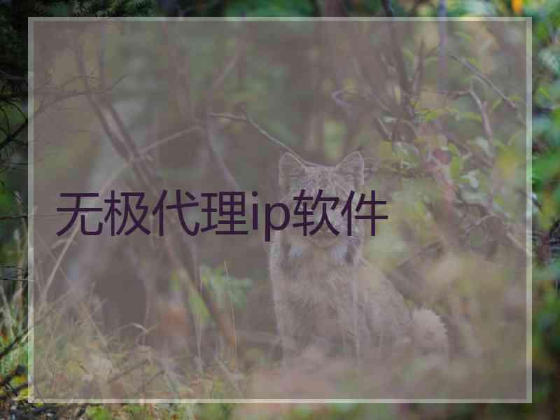 无极代理ip软件
