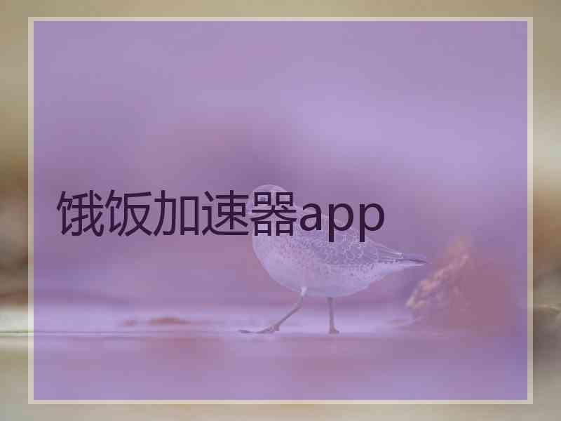 饿饭加速器app