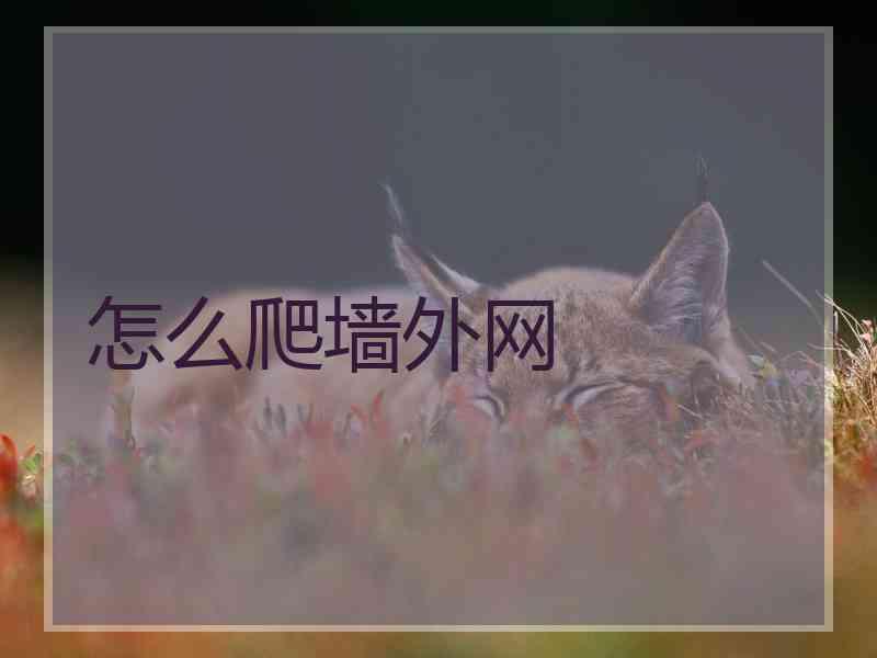 怎么爬墙外网