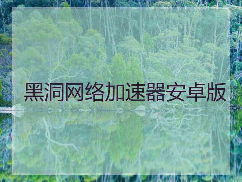 黑洞网络加速器安卓版