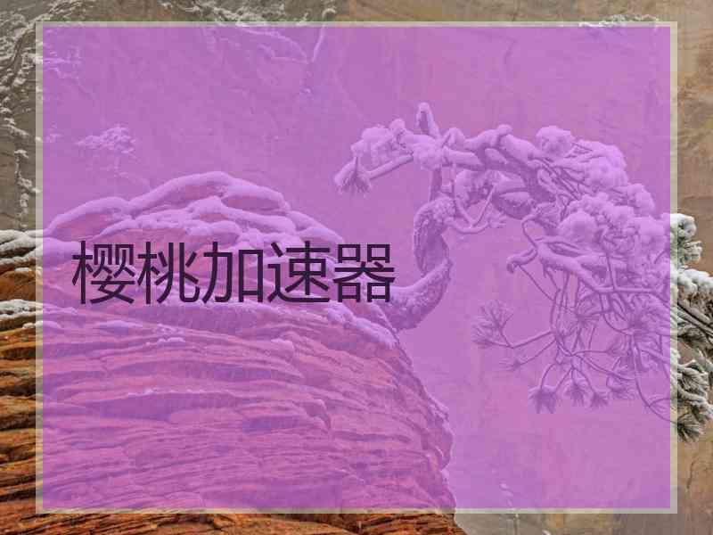 樱桃加速器