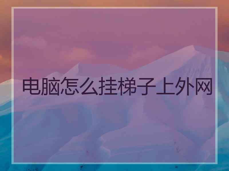 电脑怎么挂梯子上外网