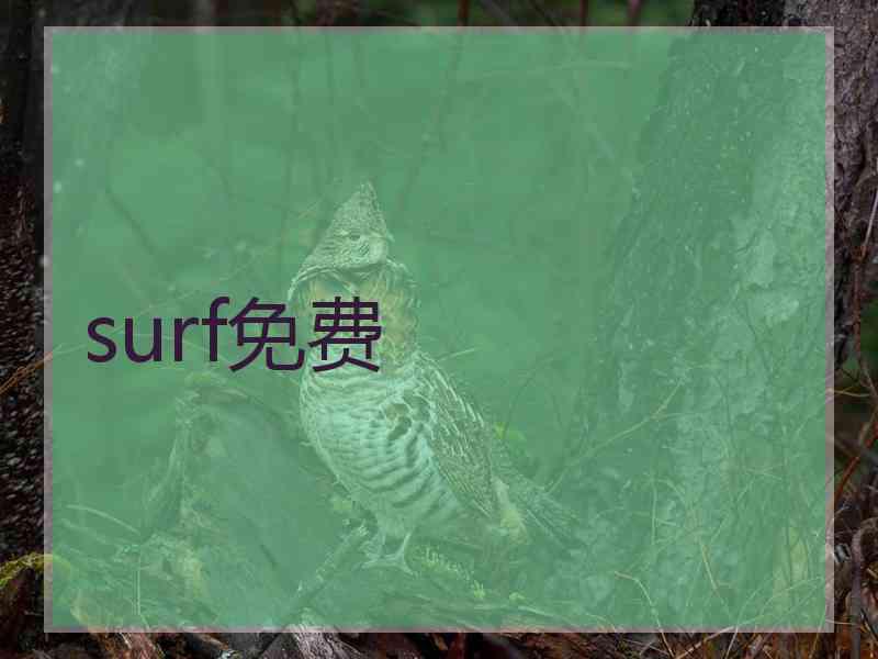surf免费