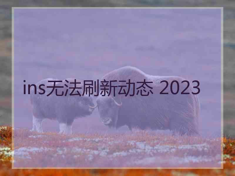 ins无法刷新动态 2023