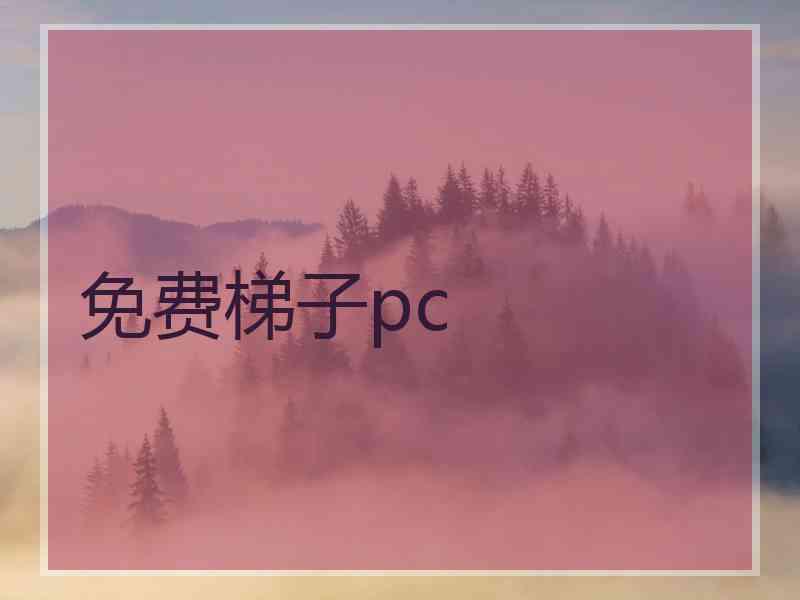 免费梯子pc