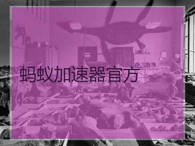 蚂蚁加速器官方