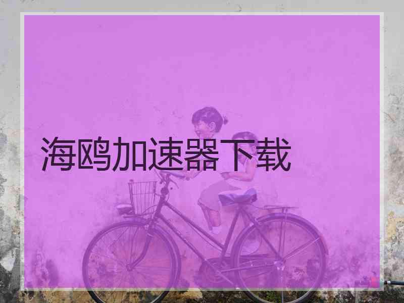 海鸥加速器下载