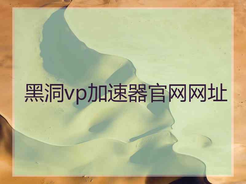黑洞vp加速器官网网址