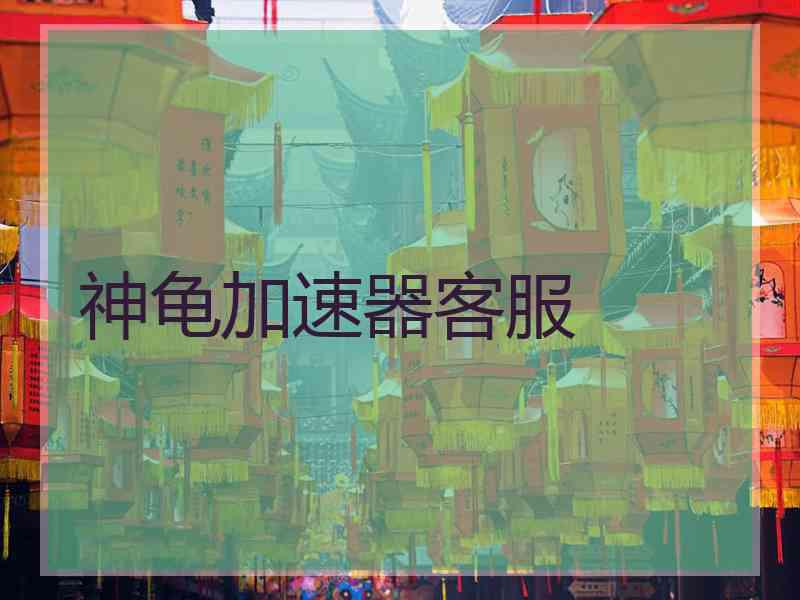 神龟加速器客服