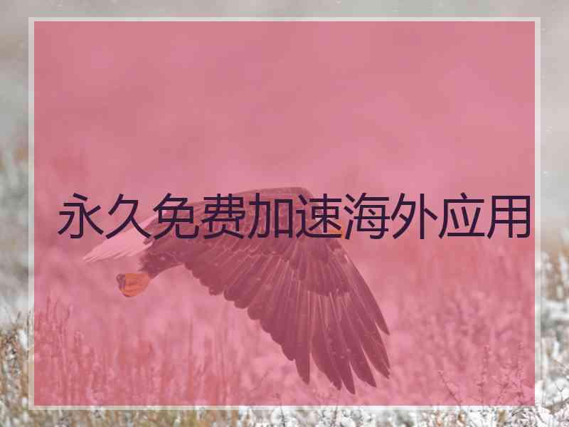 永久免费加速海外应用
