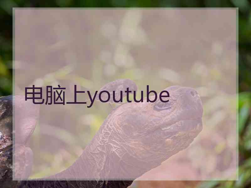 电脑上youtube