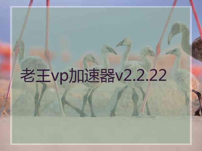 老王vp加速器v2.2.22