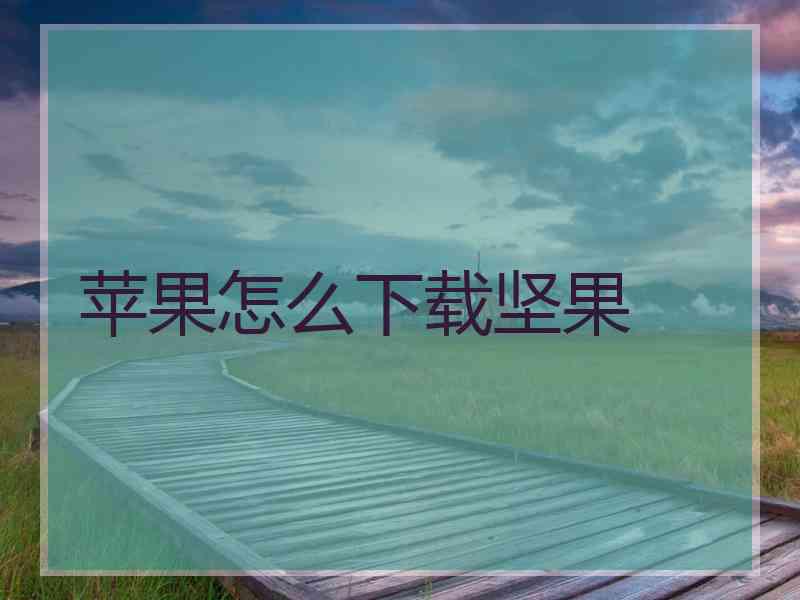 苹果怎么下载坚果