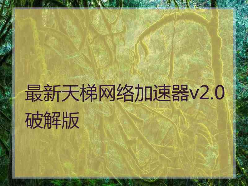 最新天梯网络加速器v2.0破解版