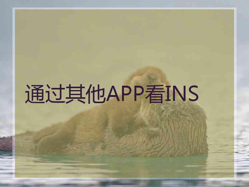 通过其他APP看INS