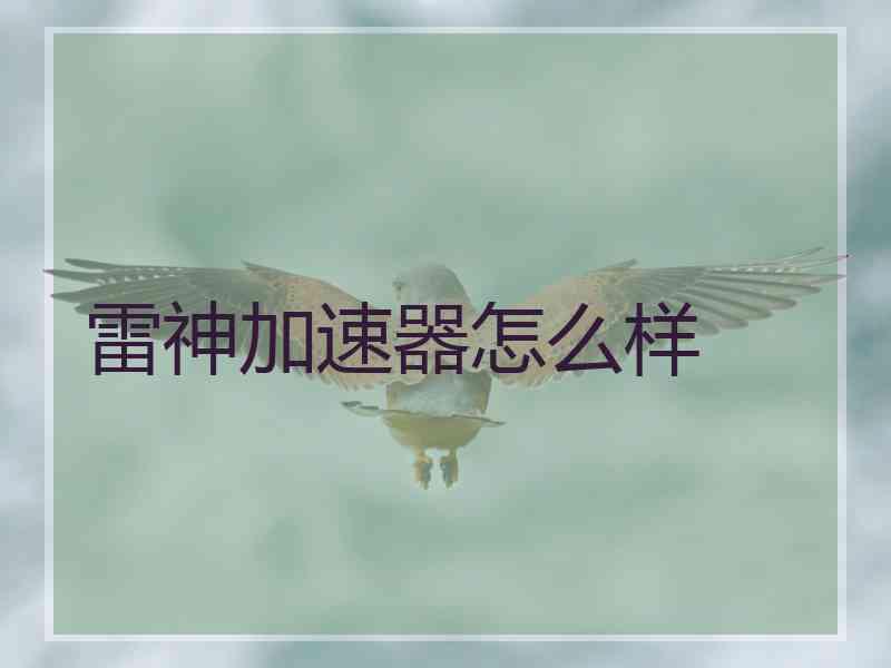 雷神加速器怎么样