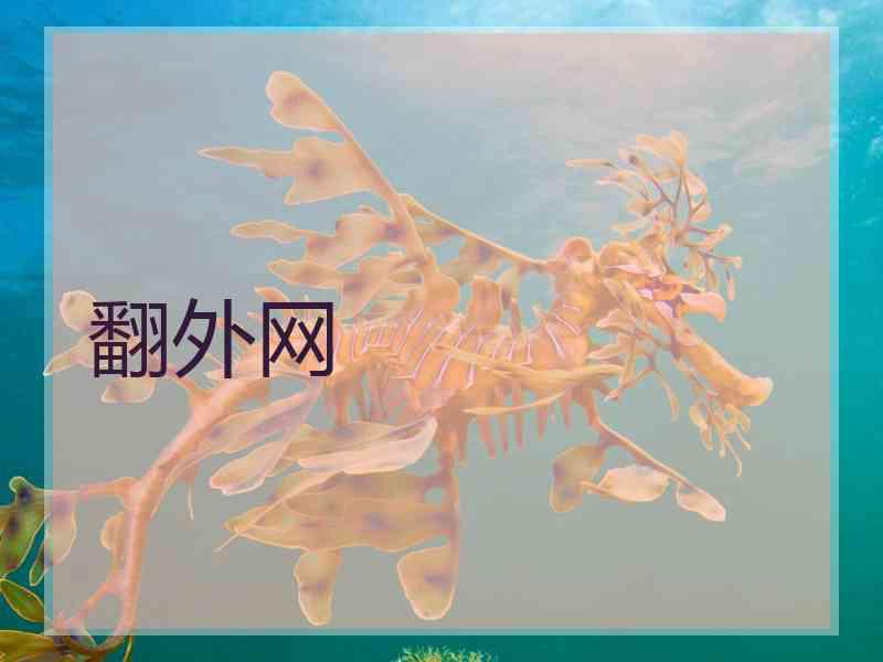 翻外网